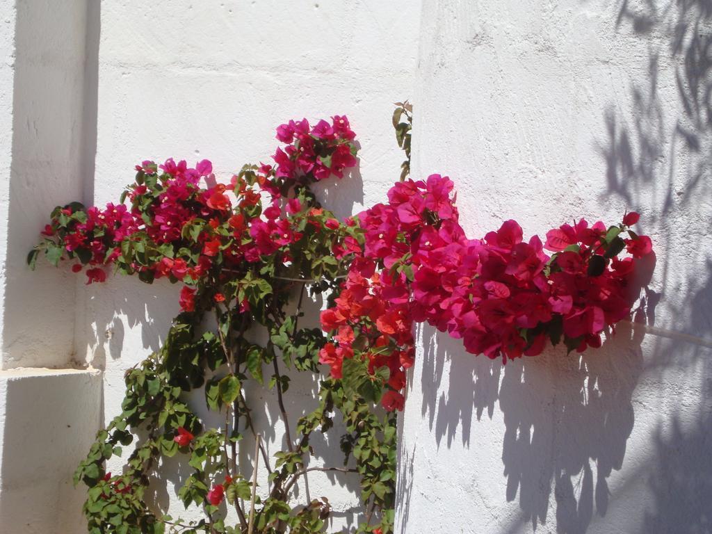 Masseria Bianca Di Puglia Monopoli Cameră foto